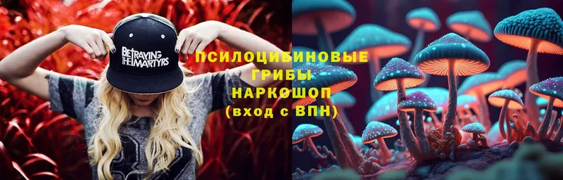 Псилоцибиновые грибы MAGIC MUSHROOMS  Ельня 